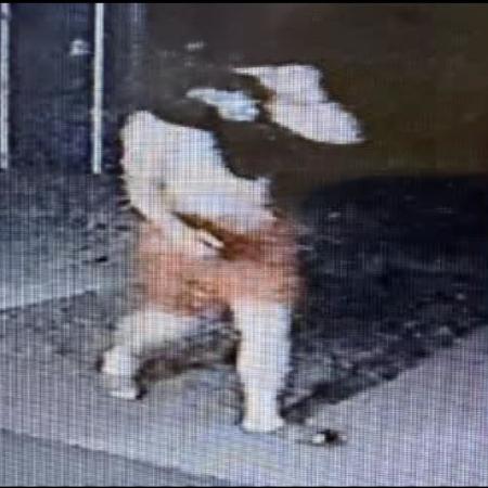 Thumbnail Image 1