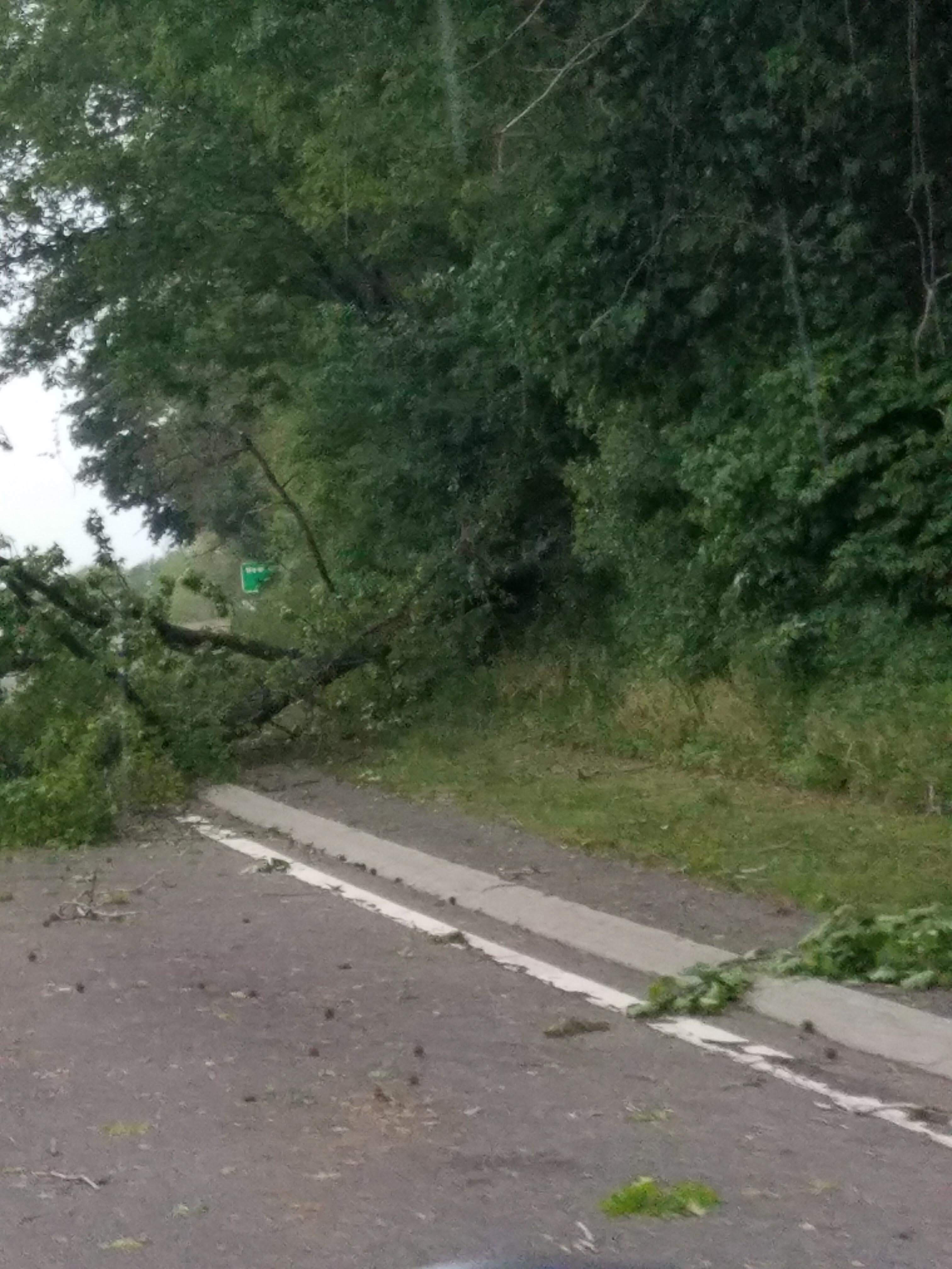 Tree branches fell on the Northern State Parkway eastbound.