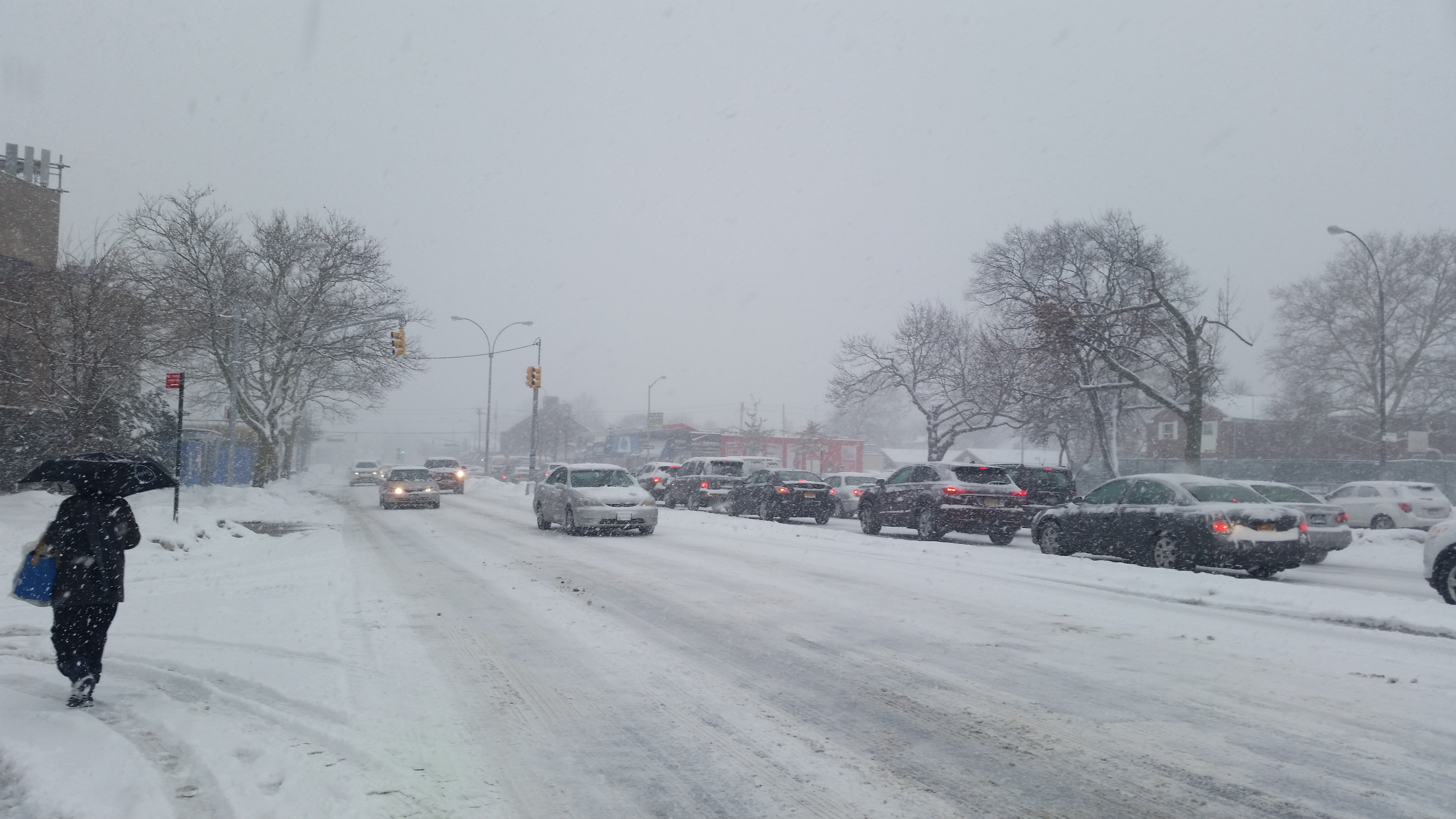 Blizzard in the winter on Union Turnpike.