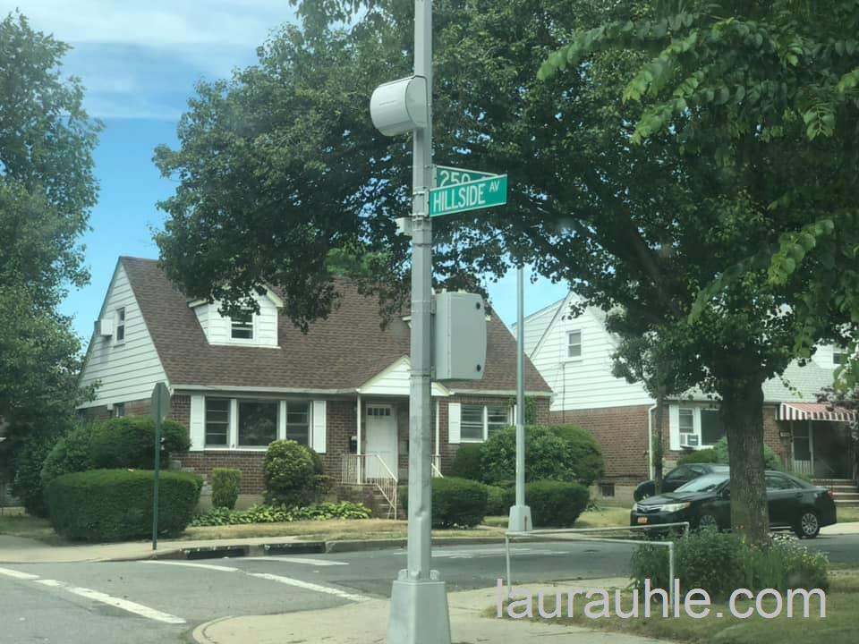 Speed camera on Hillside Avenue westbound at 250th Street in Bellerose.