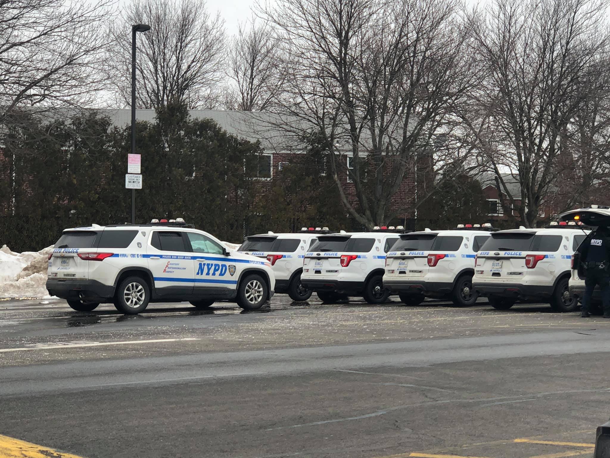 Massive NYPD presence inside the Glen Oaks shopping center to arrest a rioter from the January 6 incident at the Capitol Hill. 