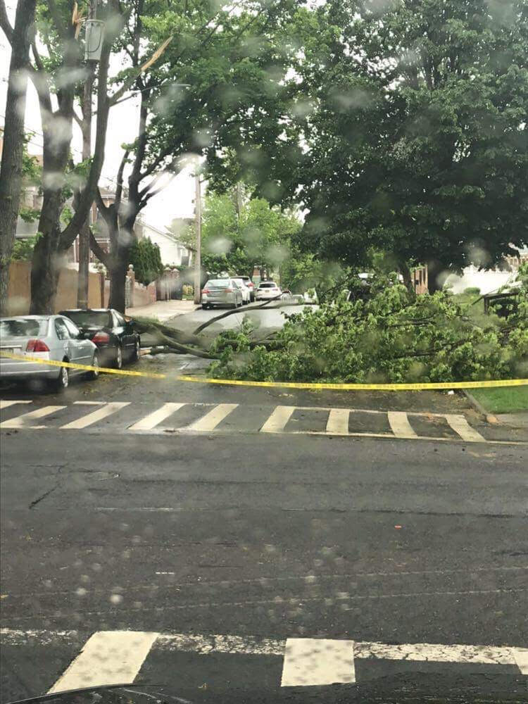 Tree branches during storm in Queens.