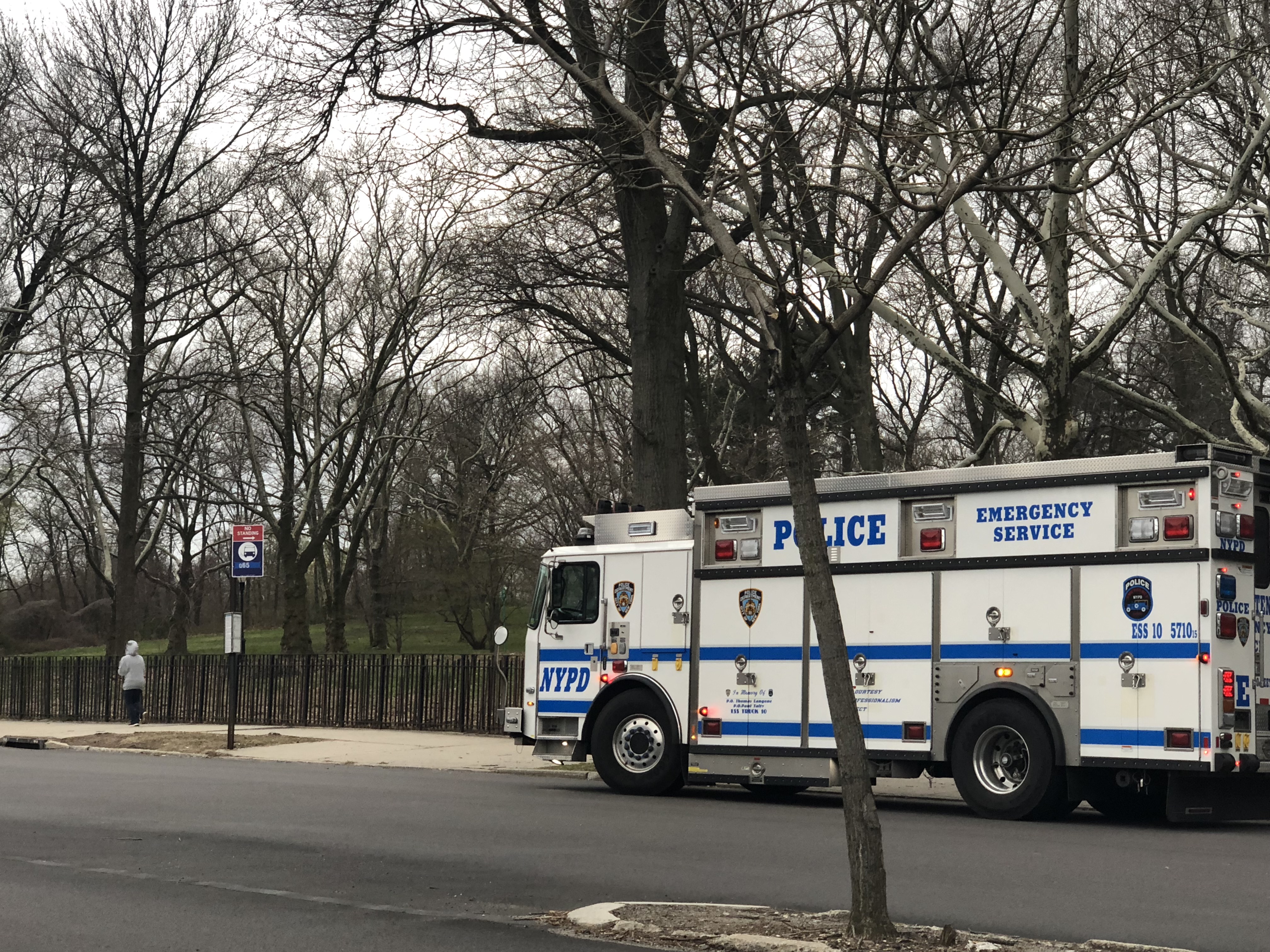 Police activity on a local street in Queens.