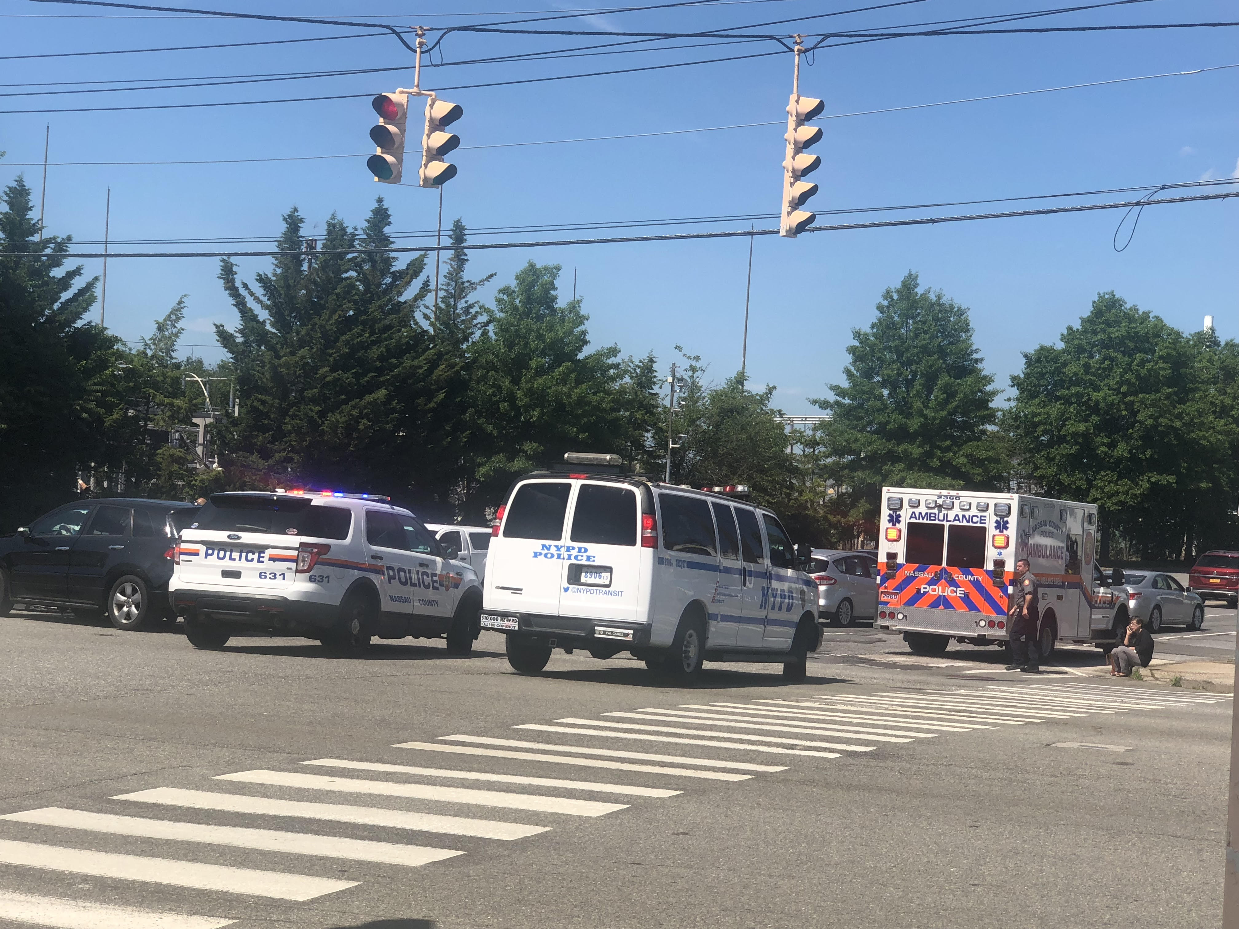 Multiple vehicle accident on Lakeville Road.